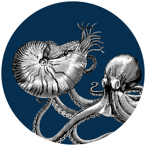 Social Cephalopod